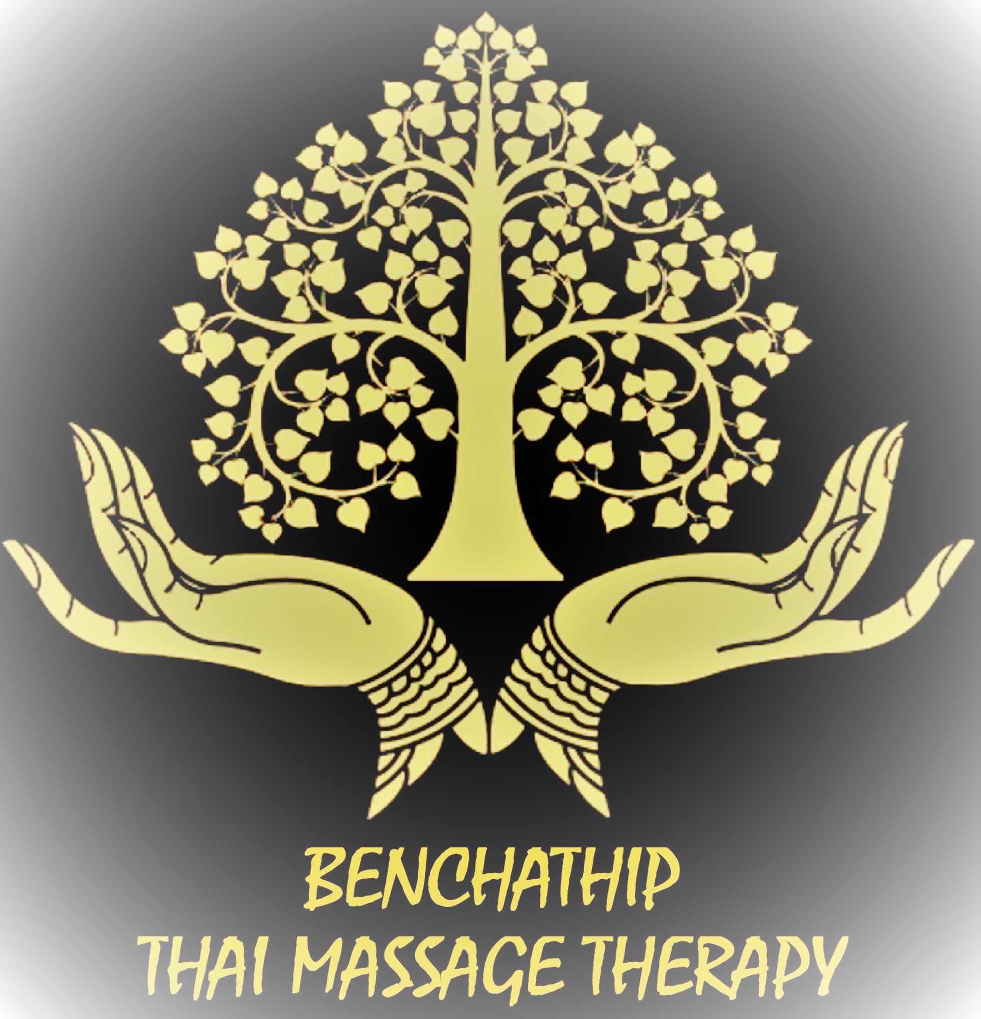 Description: Description: Nisa02.jpg (16967 bytes)